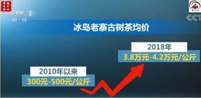 冰岛古树茶一斤2万元！冰岛普洱茶为什么这么贵？-小南北茶评