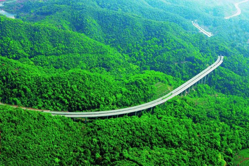 世界茶乡——中国普洱茶-小南北茶评