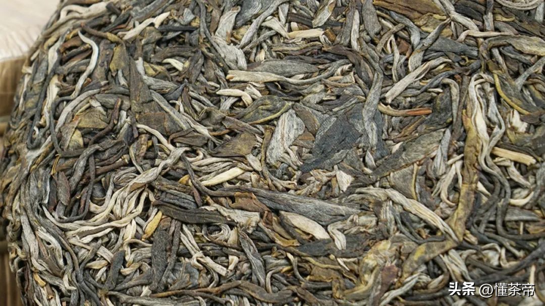 普洱生普几泡最好喝？实验为你揭秘答案！-小南北茶评