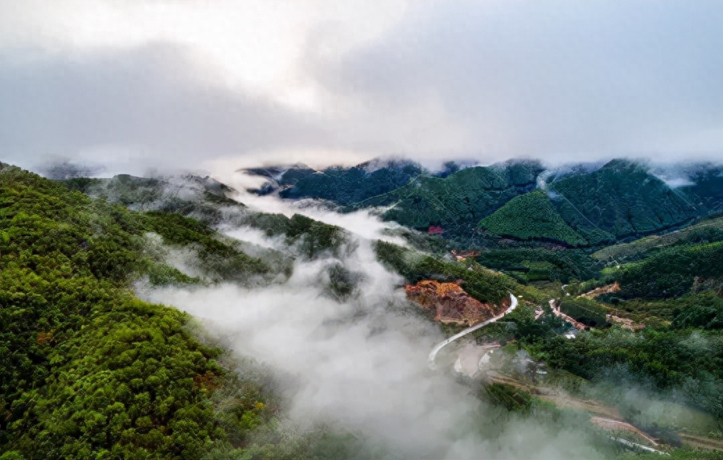 女儿贡是什么茶？勐宋女儿贡普洱茶-小南北茶评