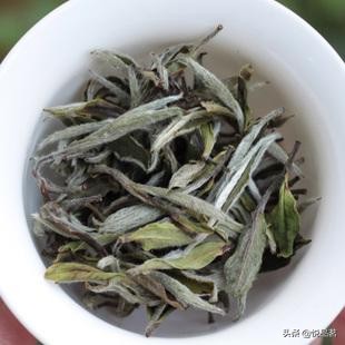 老白茶属于什么茶类?老白茶属于红茶还是绿茶 ?-小南北茶评