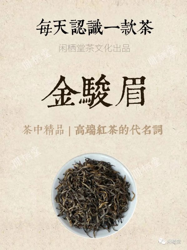 每日认识一款茶|高端红茶的代名词,金骏眉-小南北茶评
