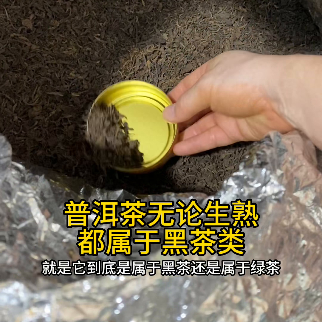 普洱茶茶属于什么茶-小南北茶评