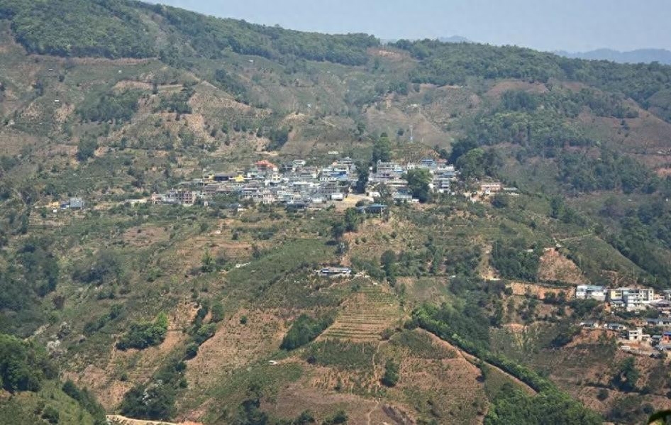 云南古树普洱茶有哪些特点？-小南北茶评