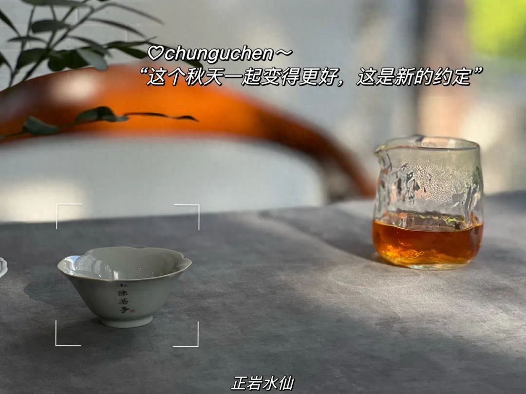 年轻人应该喝什么茶,都有哪些?绿茶、白茶、红茶都该怎么选?-小南北茶评