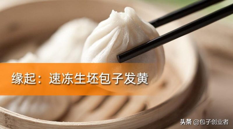 速冻生包子怎么做才正确（做对了比现蒸包子还白）-小南北茶评