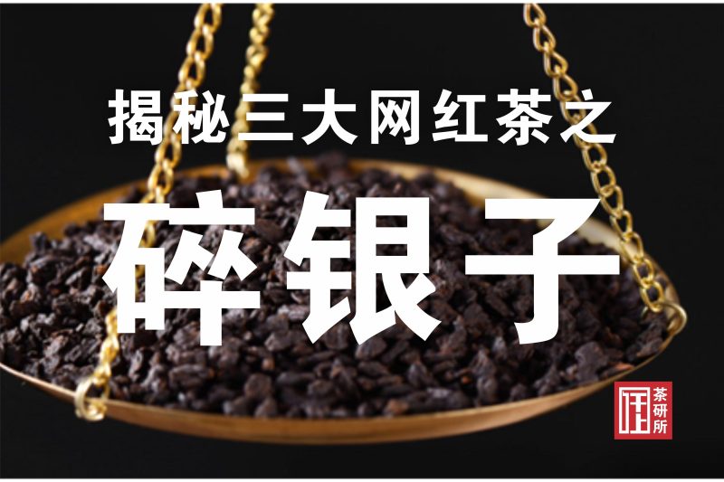 碎银子是什么茶品种（揭秘三大网红茶之【碎银子】）-小南北茶评
