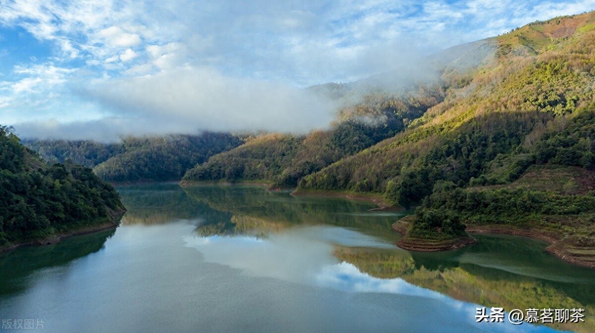 古树茶收藏， 要知道的19个顶级普洱茶！-小南北茶评