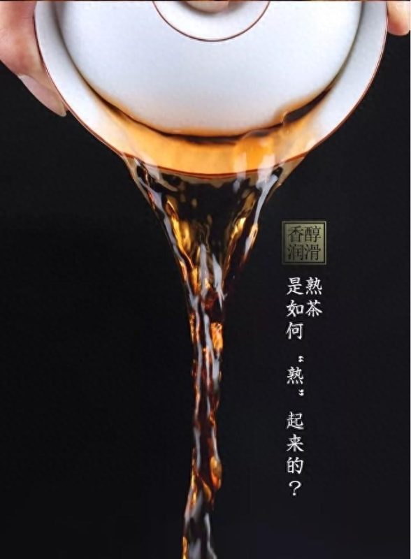 普洱熟茶，究竟是怎么“熟”起来的？-小南北茶评