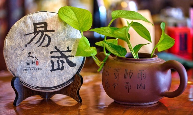 普洱茶归于什么茶？-小南北茶评