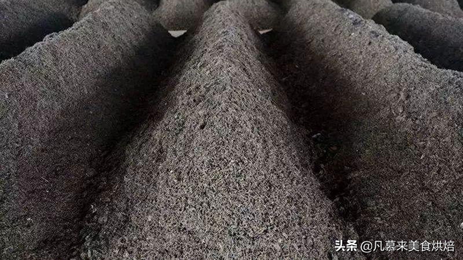 生普洱和熟普洱有什么区别（分享）-小南北茶评