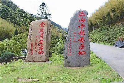 红茶的种类都分哪些茶（14个常见红茶品种介绍，产地、历史、传说和获奖）-小南北茶评