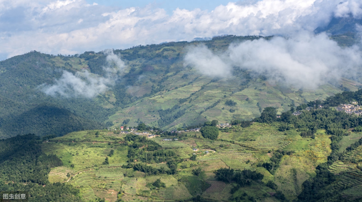 普洱茶是什么茶系? 普洱到底是不是黑茶-小南北茶评