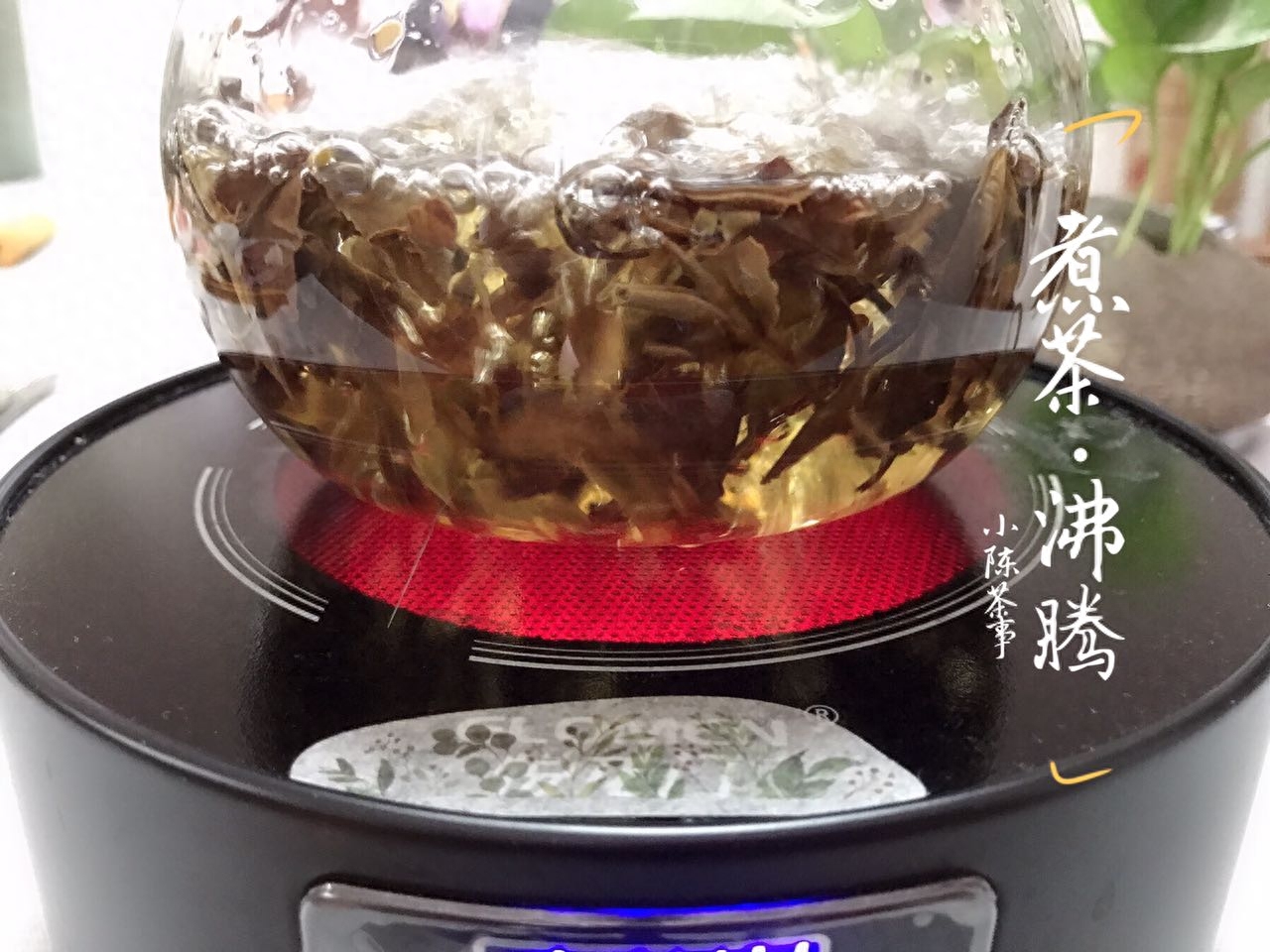 绿茶、黄茶、白茶、乌龙茶、红茶、黑茶,什么茶叶适合煮茶?-小南北茶评