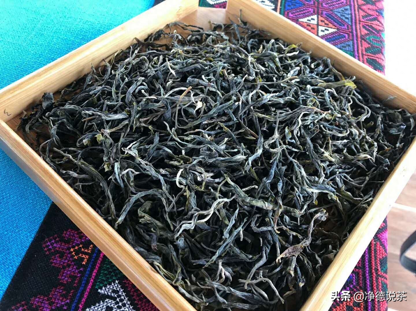 普洱茶到底属于茶叶的什么品种-小南北茶评