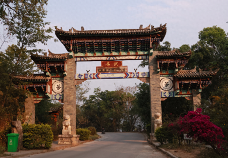 陈年普洱茶熟茶的口感怎么样？-小南北茶评