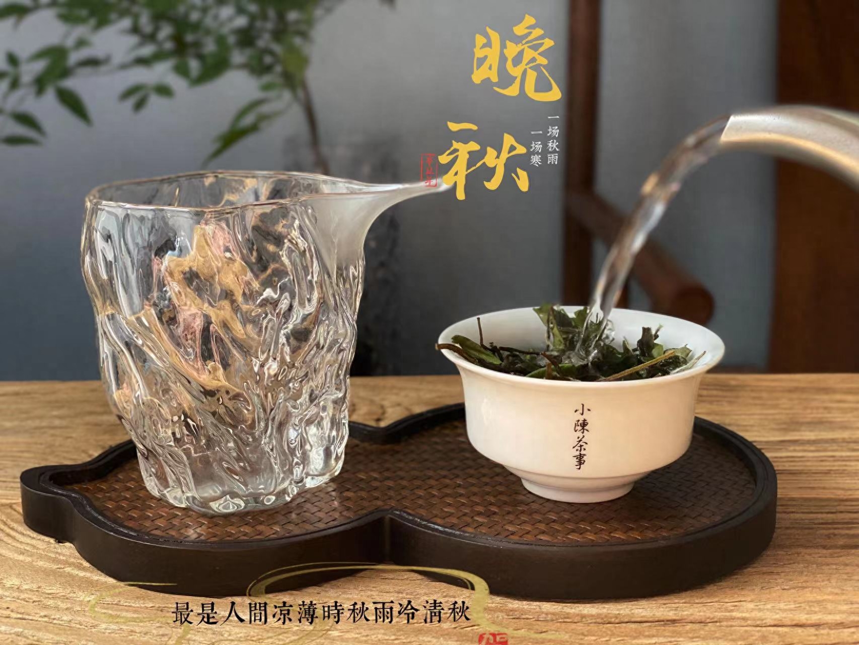 秋天适合喝什么茶?行家：绿茶、白茶、红茶区别很大，弄懂再喝-小南北茶评
