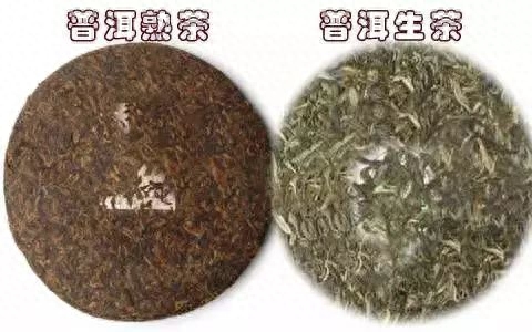 普洱茶知识合集，读完可入门！-小南北茶评