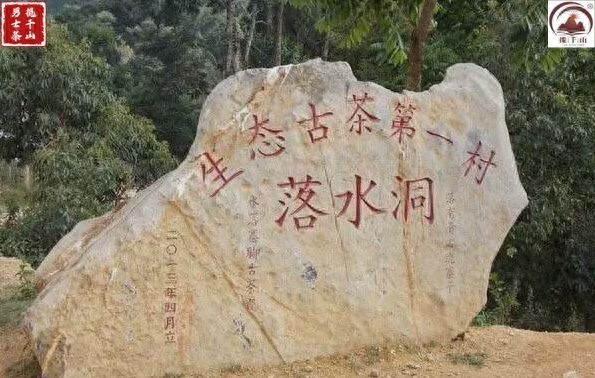 落水洞~普洱山头茶-小南北茶评