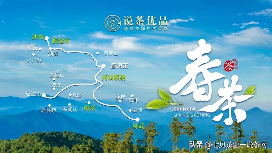 你喝过哪些滋味浓强的普洱茶?-小南北茶评