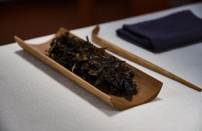 普洱茶是什么茶做的 ？-小南北茶评