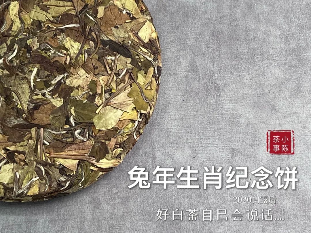 普洱茶白茶是什么茶 ？它和白茶有什么区别？看完村姑陈的解答懂了-小南北茶评