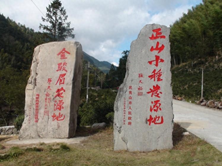 红茶的种类科普篇，你会喜欢哪种？还是都想尝一遍？-小南北茶评