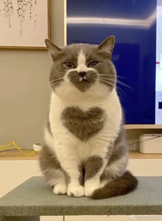 红茶语录精选-小南北茶评