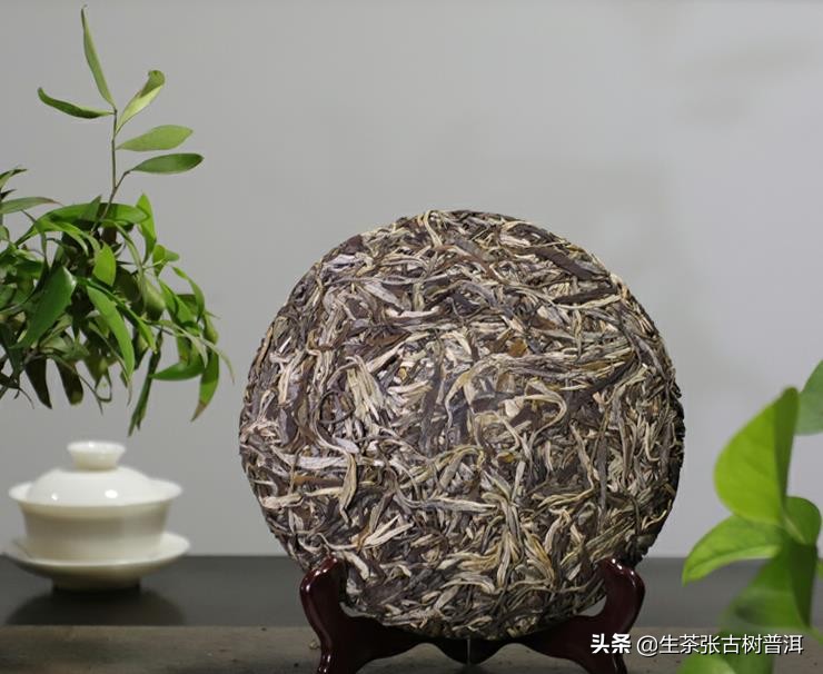 陈年普洱茶究竟有何魅力？老普洱一定会越陈越香吗？-小南北茶评