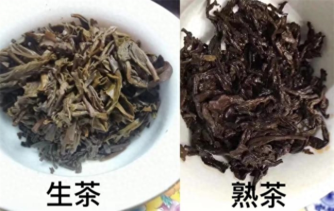 普洱生茶和熟茶的区别？普洱生茶和熟茶的冲泡方法-小南北茶评
