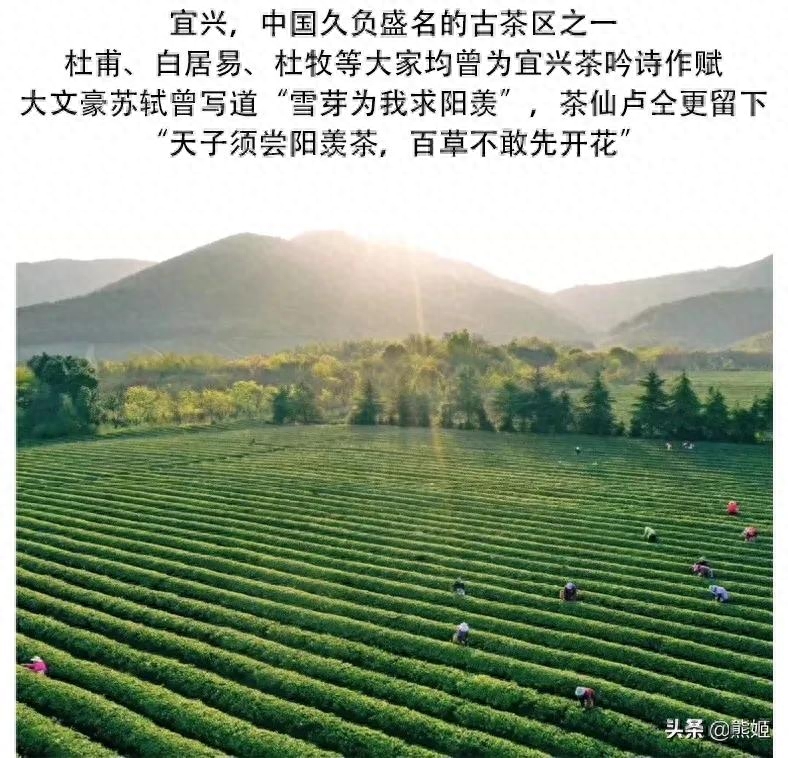 茶故事篇：宜兴红茶 阳羡茶 宜兴茶历史文化 历史茗茶贡茶-小南北茶评