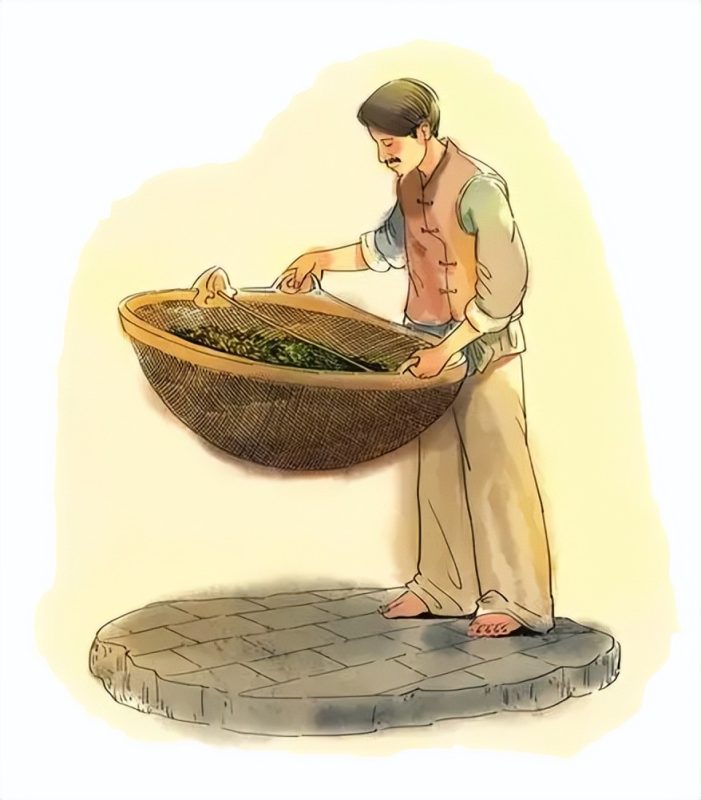 乌龙茶铁观音为什么要摇青？-小南北茶评