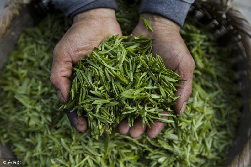 毛峰为什么叫毛峰 “毛峰”茶名的来历-小南北茶评