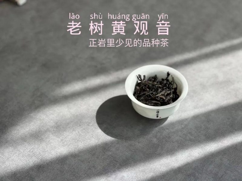 乌龙茶里，黄观音和铁观音是什么关系？为什么名字这么像？-小南北茶评