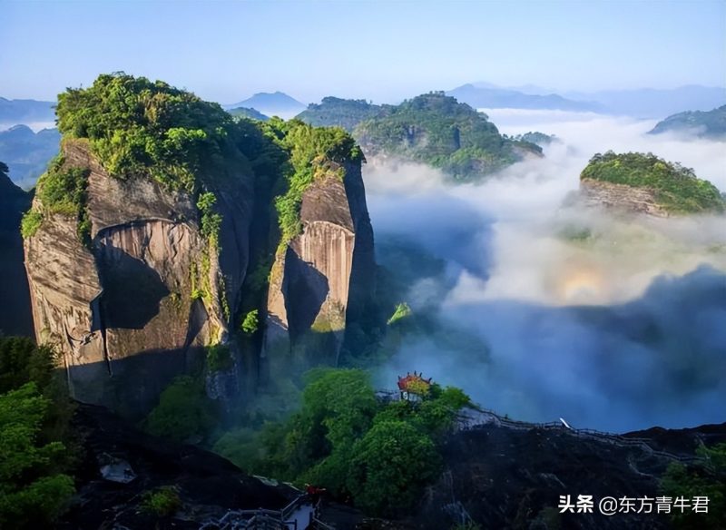 正说乌龙茶：福建乌龙茶 如何分类？特点是什么？有哪些代表性产品-小南北茶评